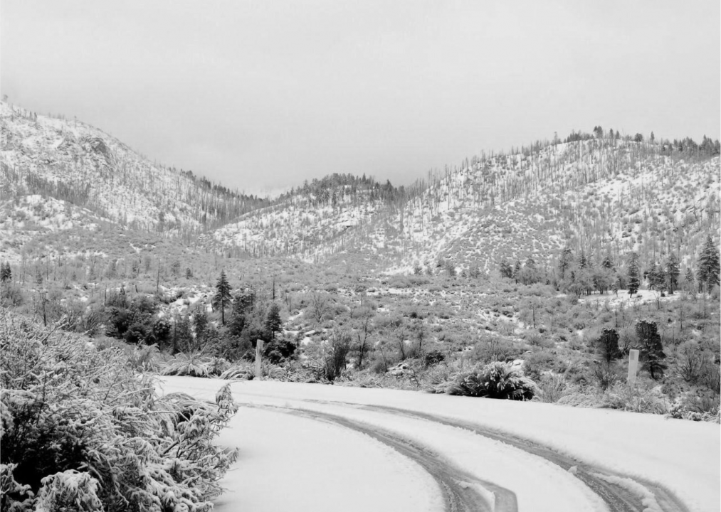 1959: Mount Shasta Snowstorm